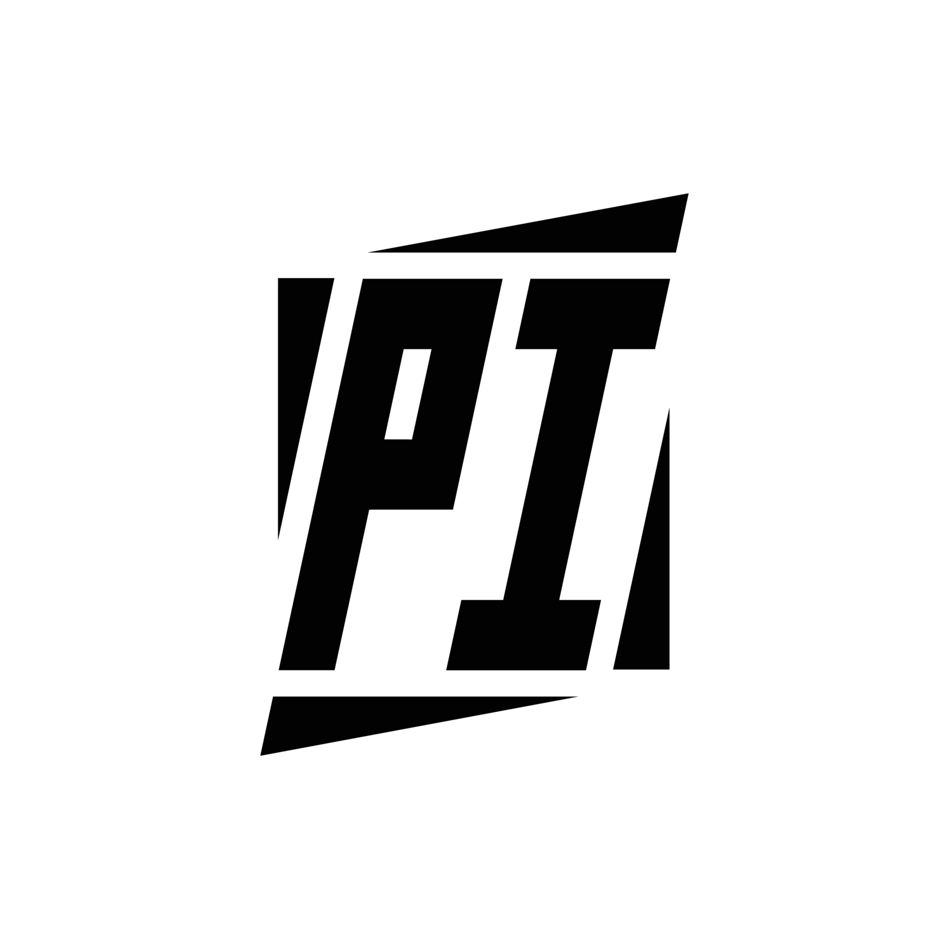 Private Investigator NZ Logo